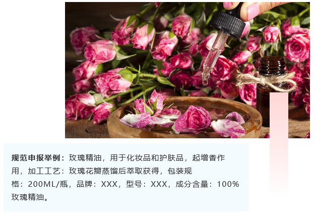 <a href='http://www.nerdsoundsmegazine.com' title='危險(xiǎn)品海運(yùn)' >危險(xiǎn)品海運(yùn)</a>